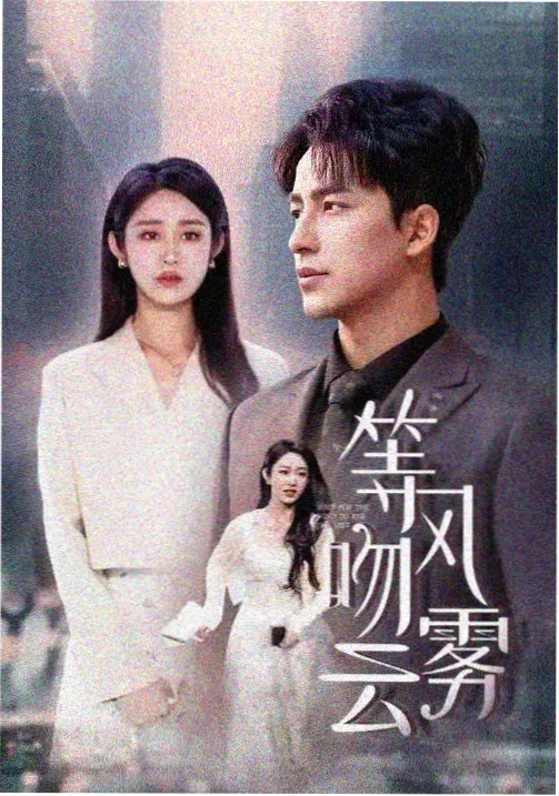 国产悬疑剧长夜将尽海报